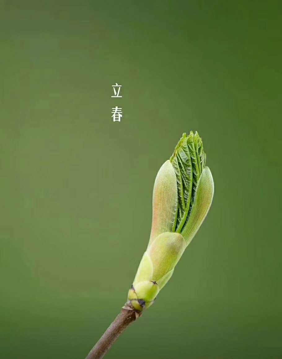 腹泻|立春调一调，养生早知道