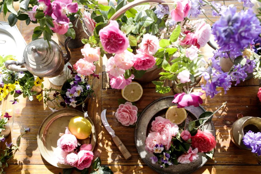 职场故事|告别职场焦虑，她逃到农场拍野花；3年拍了上千张，把爱好修成主业