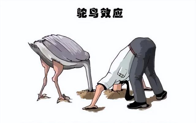 求职|毕业生出现“鸵鸟一族”，不找工作压榨父母，父母还觉得挺骄傲