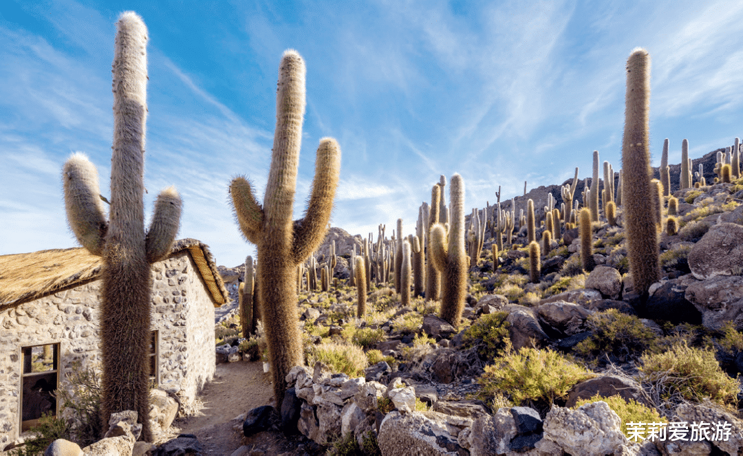 欧洲旅游|玻利维亚,走进七彩秘境