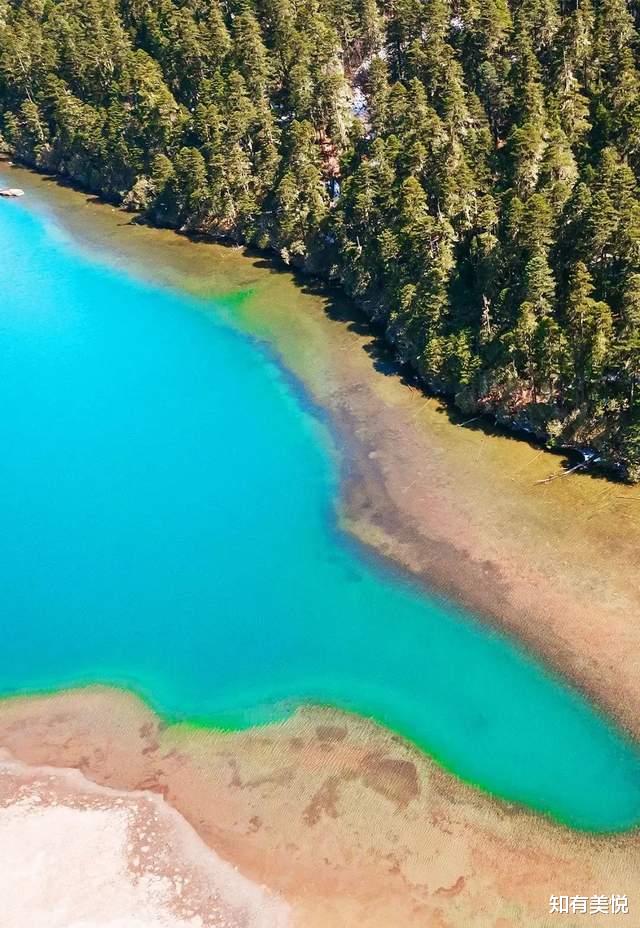 胡杨林|人少不挤,当季最美,这9个小众旅行地,这个夏天一起去探秘吧