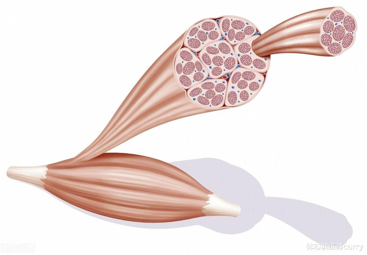 运动|韩国最美牙医,51岁与女儿似姐妹,身材更是好到爆!力量训练真香
