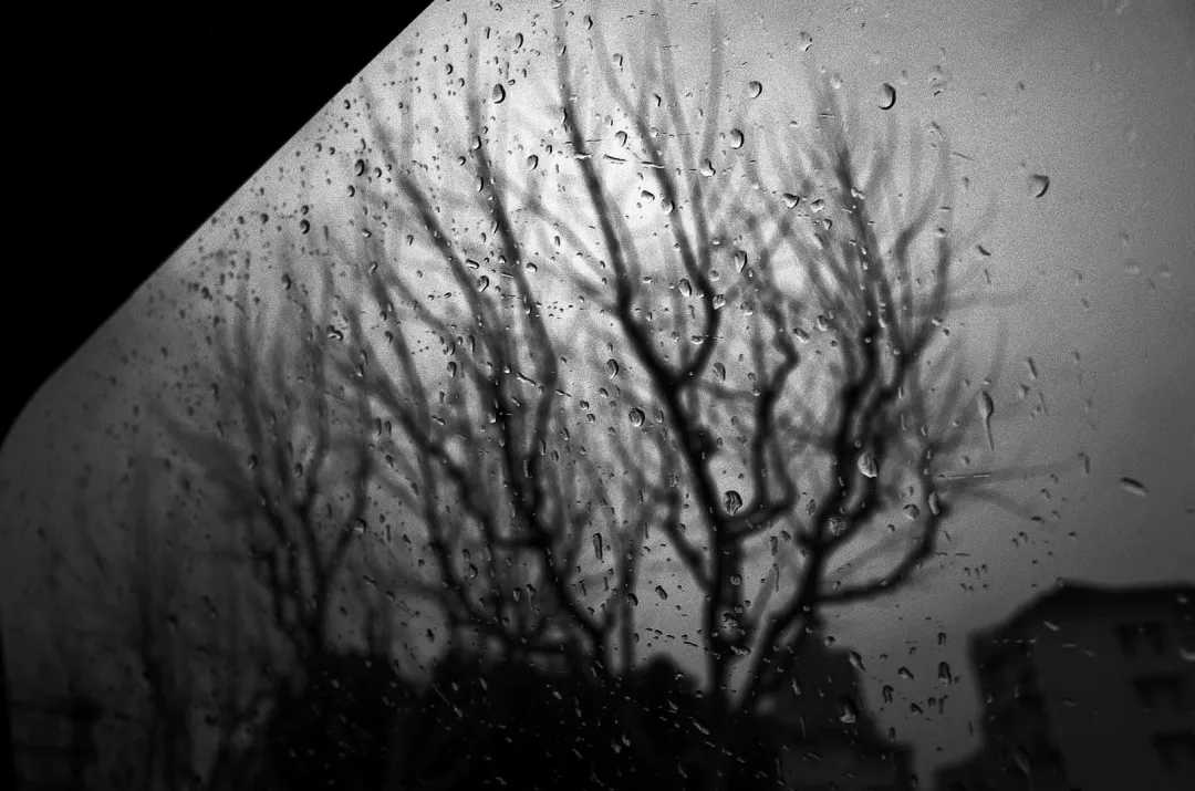 衬衫|“过年倒计时5天，我又失业了。”