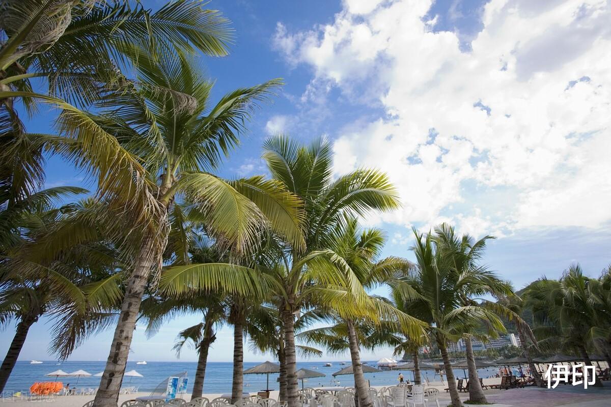 湖南|海南人,你未免太乐观了