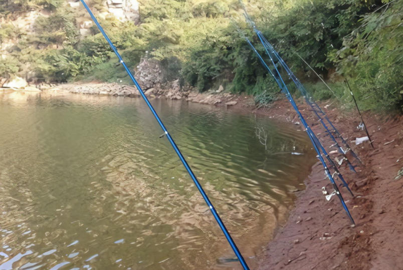 |渔乐杂谈:夏季垂钓海竿的几种钓法