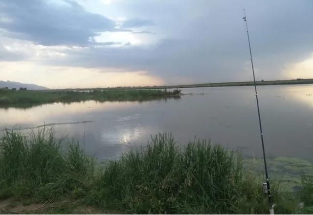 三伏天|三伏天钓鱼总攻略:牢记“4钓4不钓”,远离空军,渔获轻松翻倍