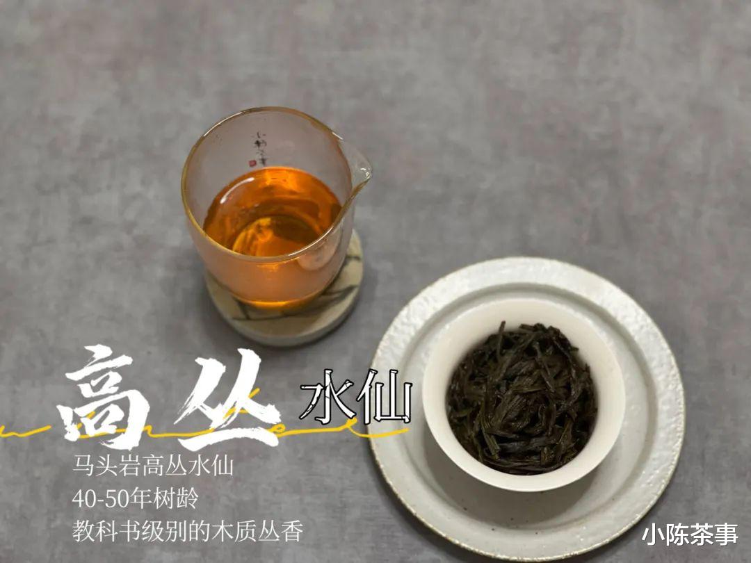 泡遍六大茶类，这4种不洗茶的理由，有说服你吗？