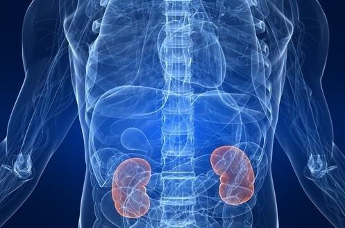 枸杞|华佗记载:枸杞加一物,堪称“天然肾王”,让你的肾越吃越强壮!