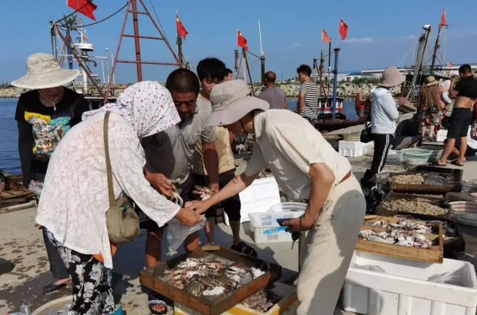 休渔|休渔期间出海捕捞,山东青岛23人被拘,30元梭子蟹能卖100元