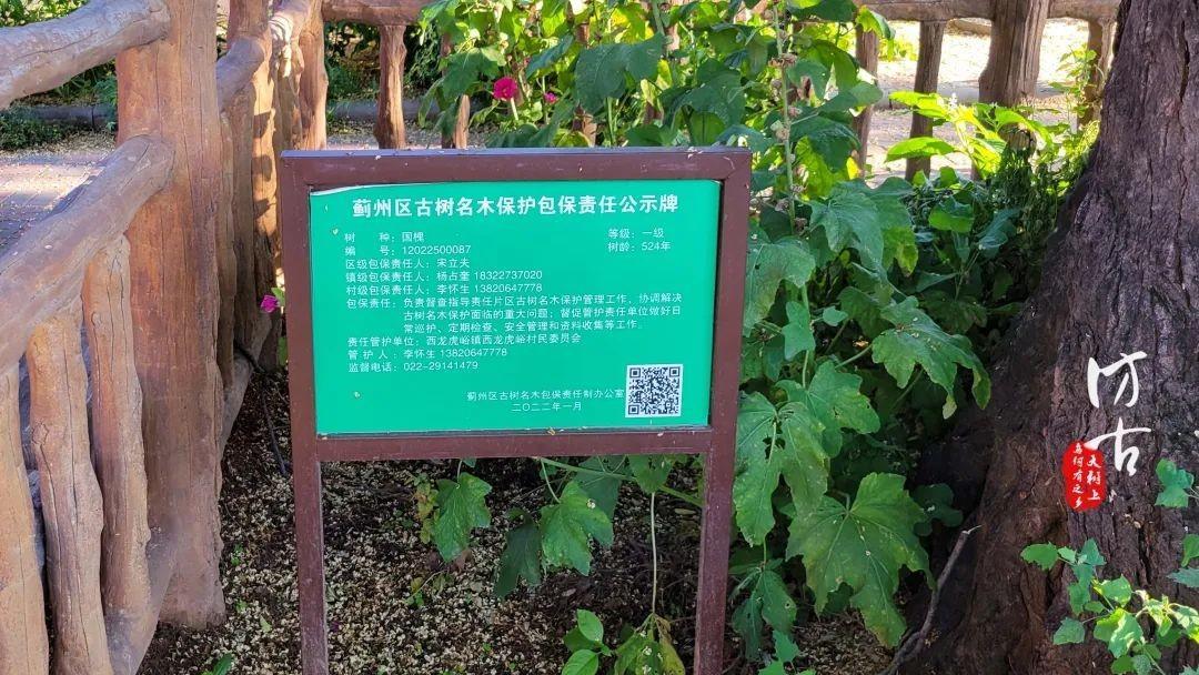 蓟州西龙虎峪石柱,村民挖了4米不见底,难道是镇压着怪兽?