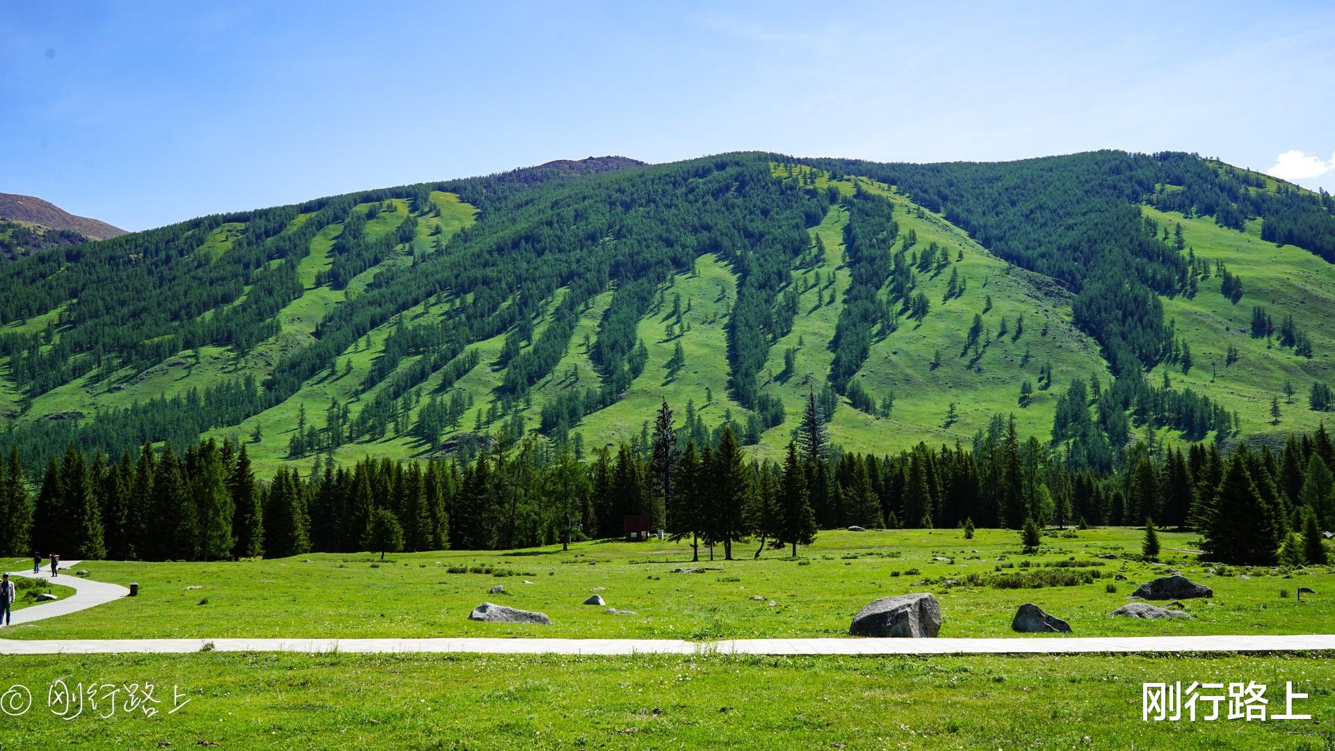 喀纳斯湖|喀纳斯湖双湖码头徒步，这里的夏天怎么能让人不心动？