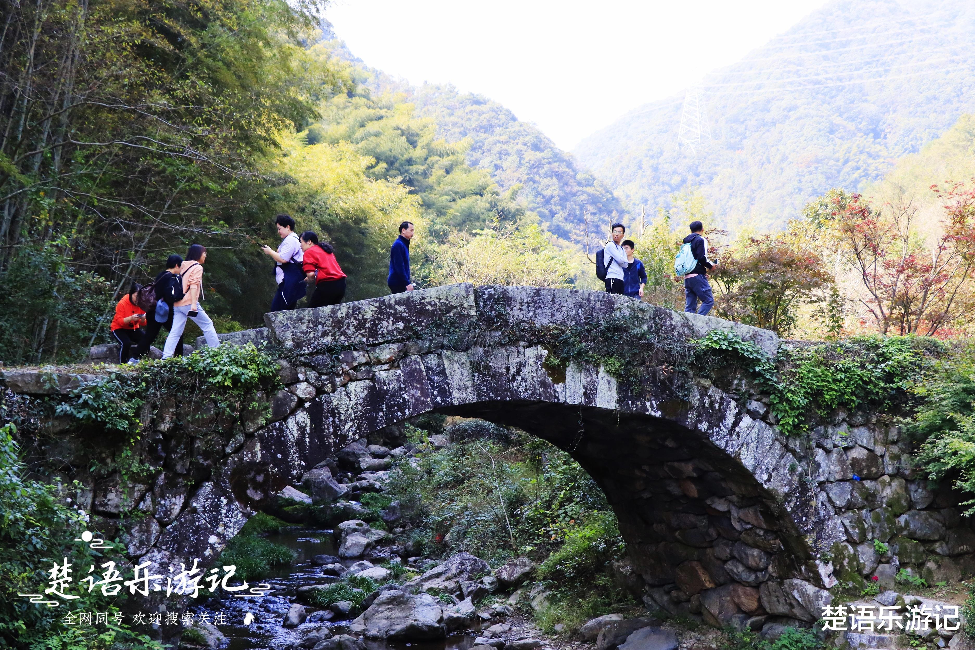 宁波|宁波这个古村又到最美时刻，层林尽染美如画，古道成为网红打卡点