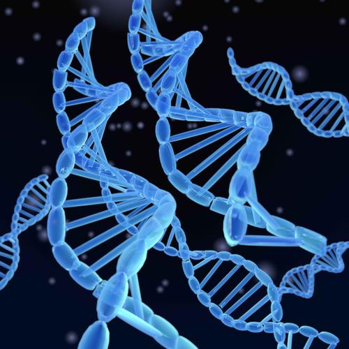 黑种人、黄种人、白种人？明明不同人种，为何就不存在生殖隔离？