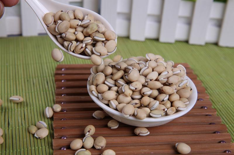 中药|经常有人问我,什么食物温和又祛湿?那我肯定说“白扁豆”