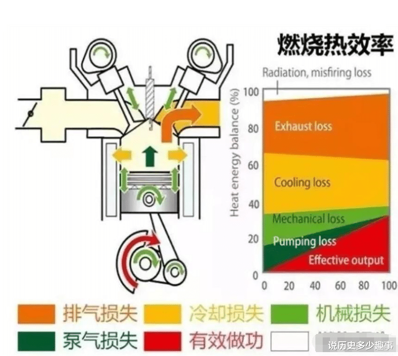 “腐烂”规律已被破坏,专家:为避免浪费,人类最好放弃火化