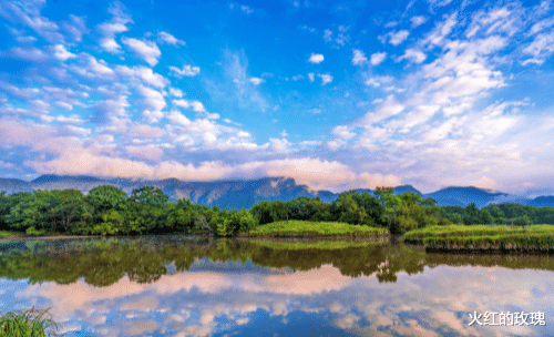 神农架|暑假去哪儿？来神农架“清凉一夏”