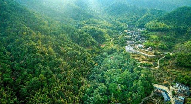 福建省|中国“很绿”的省份，森林茂密资源丰富，不是江西、广西！