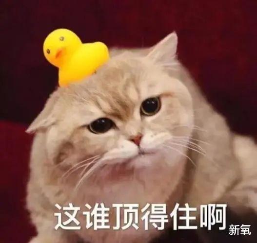 拐卖|头皮发麻！女星去世时隔3个月，她的社交账号又更新了