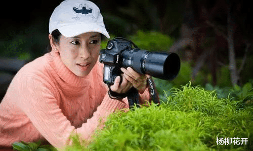 霍启刚|霍启刚公开道歉！他背后的这个女人，藏不住了