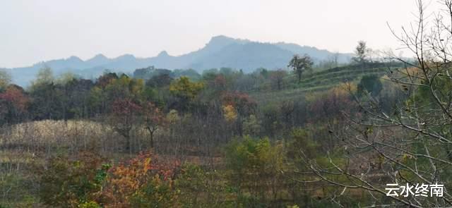 |不进峪口了，从峙峪到库峪的山边走走，也是不错的