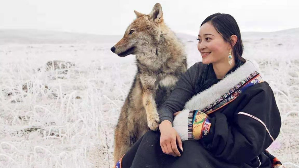 |“中国第一狼女”李微漪：12年前养狼当“儿子”，结局催人泪下