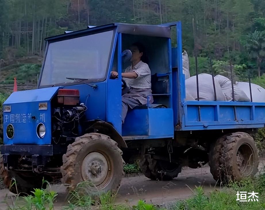 |乡愁沈丹为何那么红?从离异妇女到千万网红,如今身价超1000万