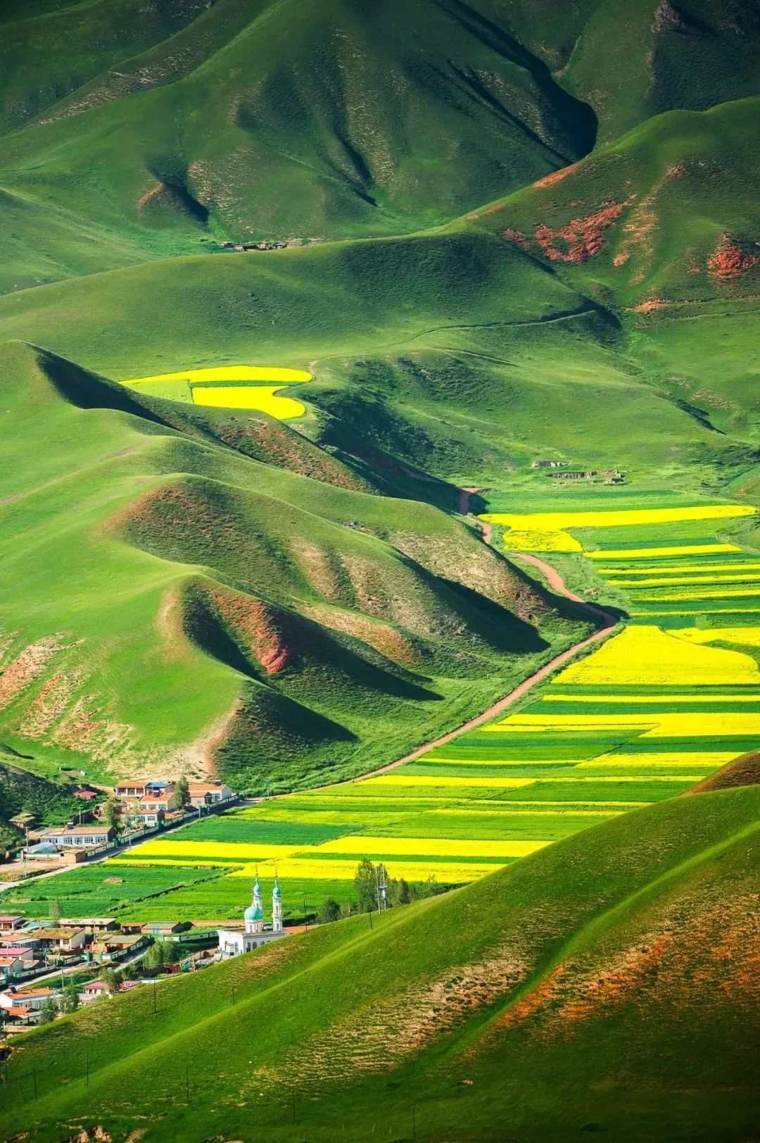 香港|草原季即将开启,如何选择最适合你的草原?