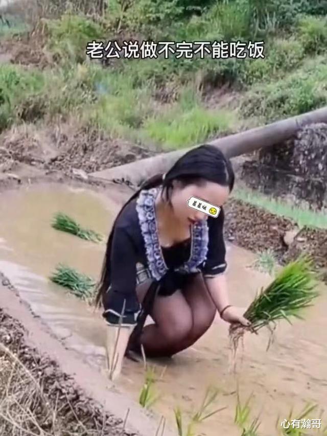 一男子抱怨其妻子穿黑丝袜去插秧,她把活干好就行,何必在意穿着