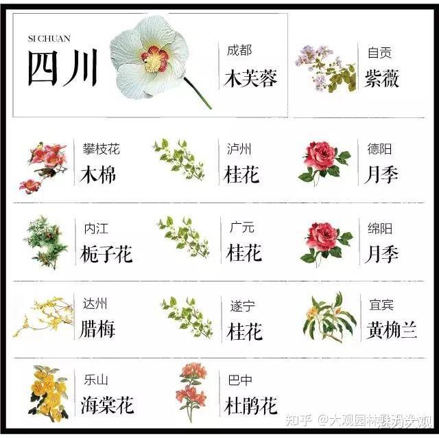 史上最全中国各城市·市花