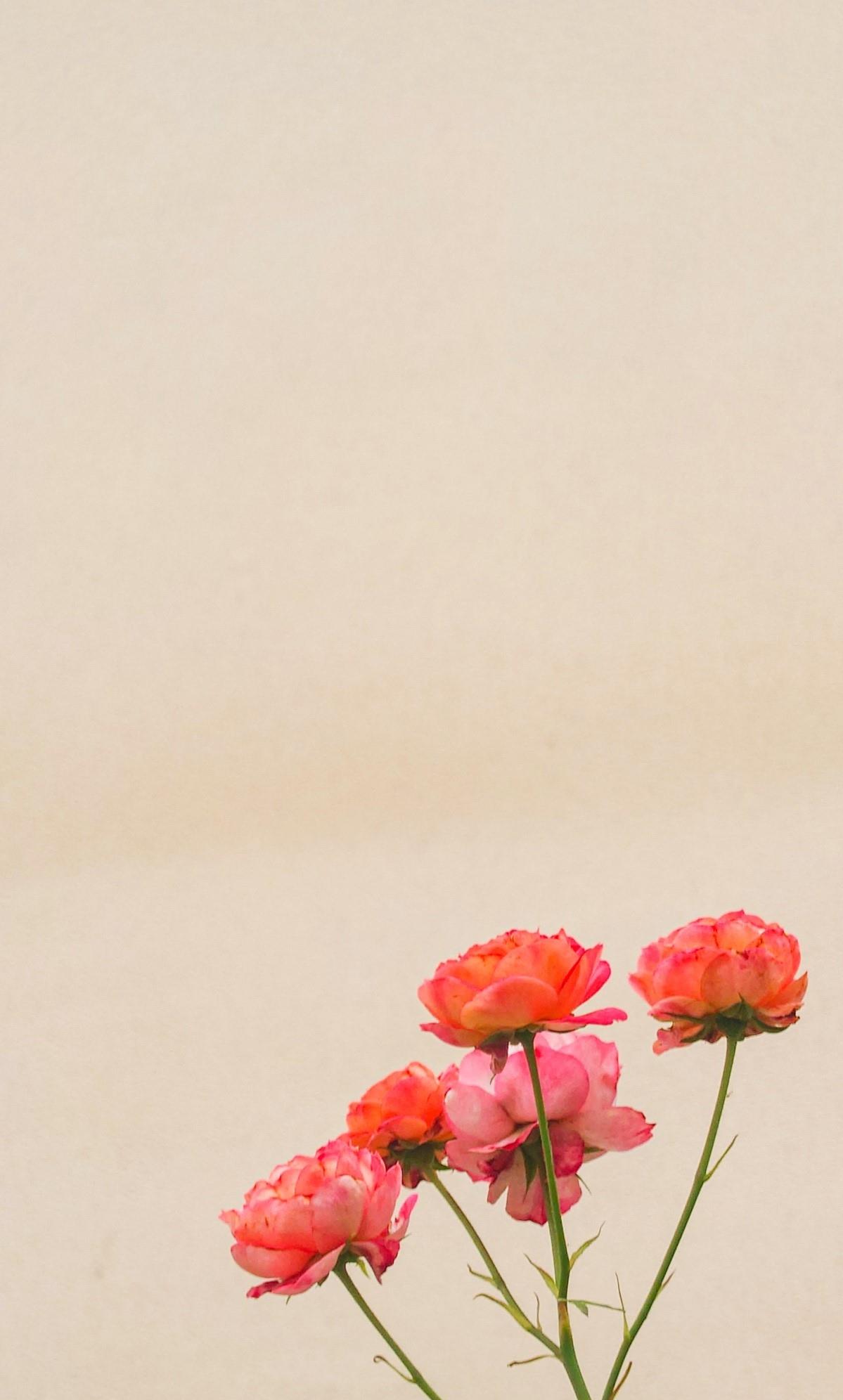 debian|掌上微单 索尼Xperia 1 IV试用体验