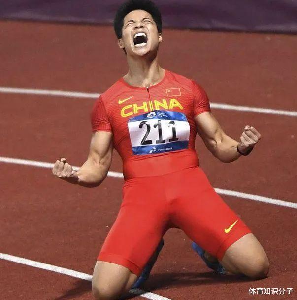 苏炳添|苏炳添升官了！亚洲飞人迎来新职务，苏神升官发财堪称人生赢家