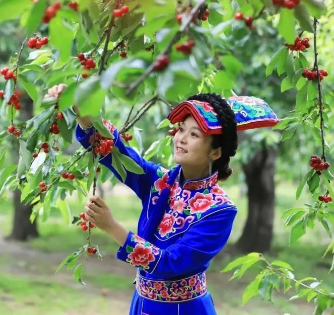 粉色|争创国家全域旅游示范区 | 茂县这样做!