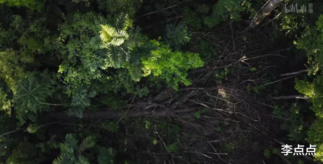 |值得再刷亿次！第5部片子，最适合疫情期间看