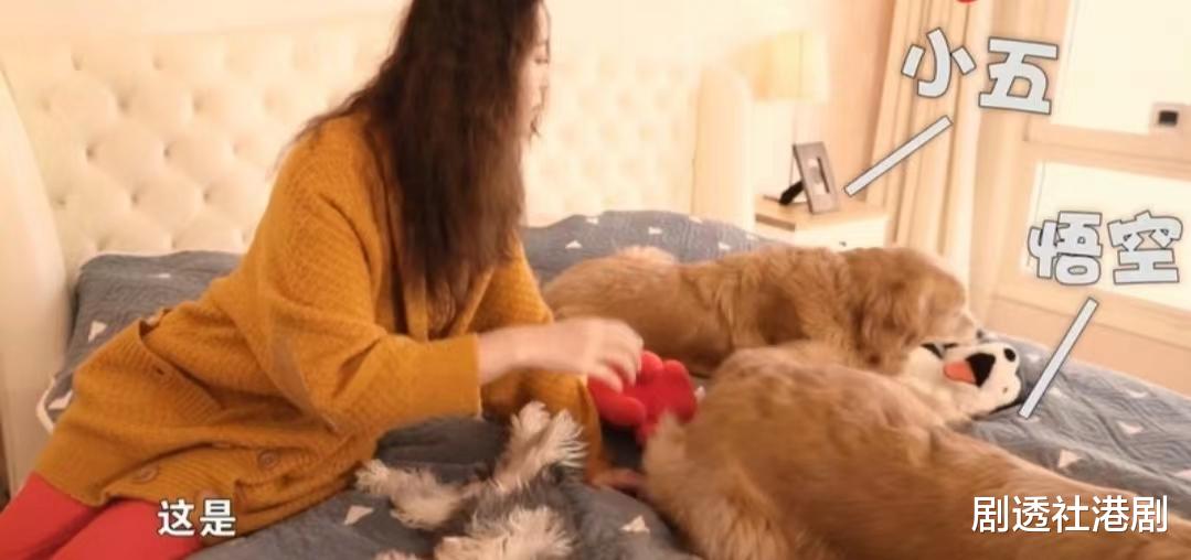 周海媚|生活自在!55岁知名港星定居北京20年,住万尺别墅享受单身生活