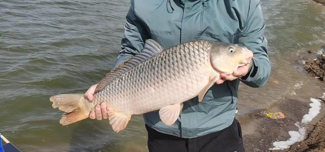 |钓了几条鱼后就没动静了，新手要补窝，老钓友却这样做