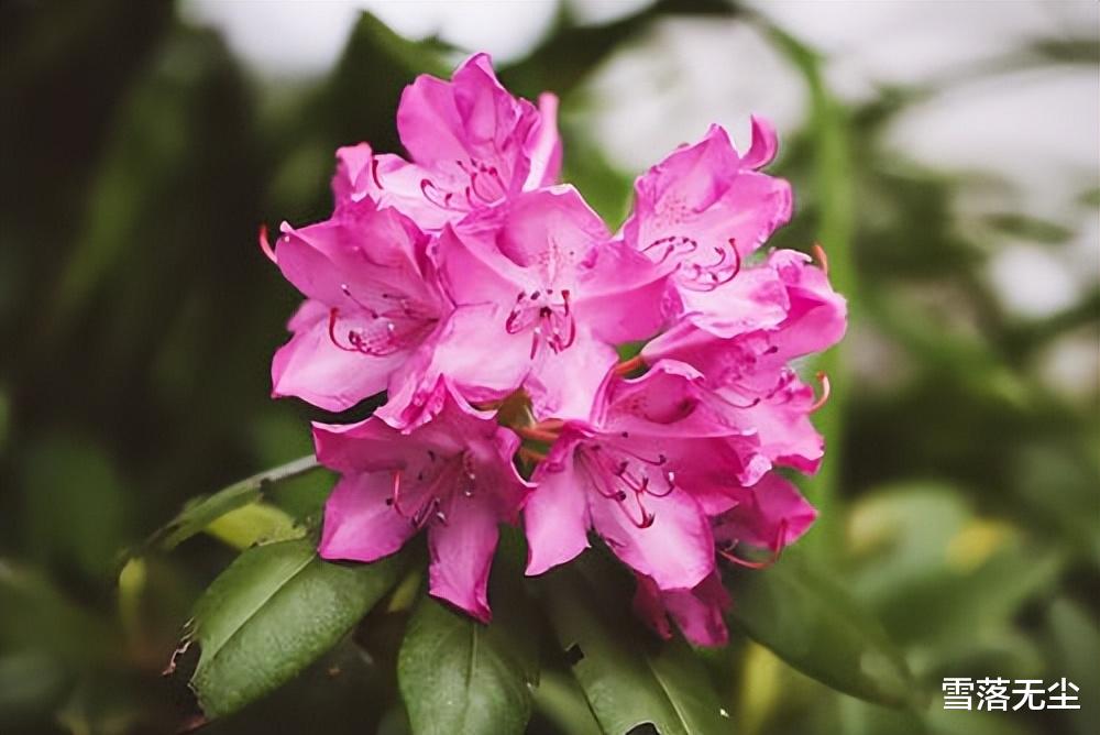 Angelababy|男人有如下特征，不但给不了你真爱，还会让你处处受气