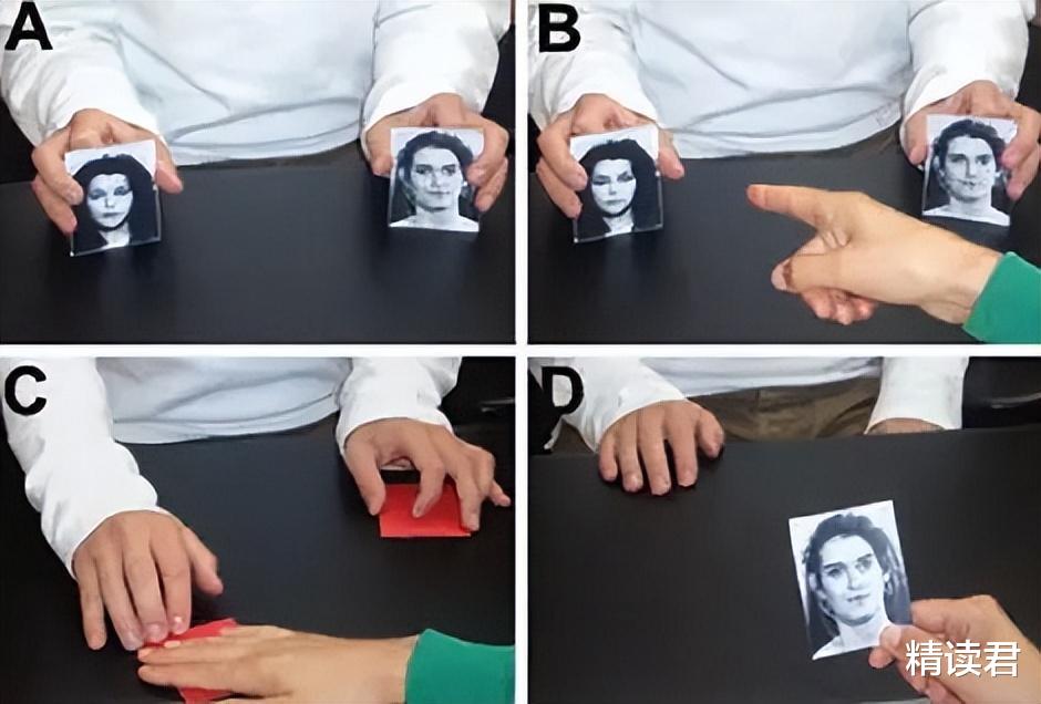 央视|央视四大男主播再次合体唱秀引热议:有文化的人,有多可怕?