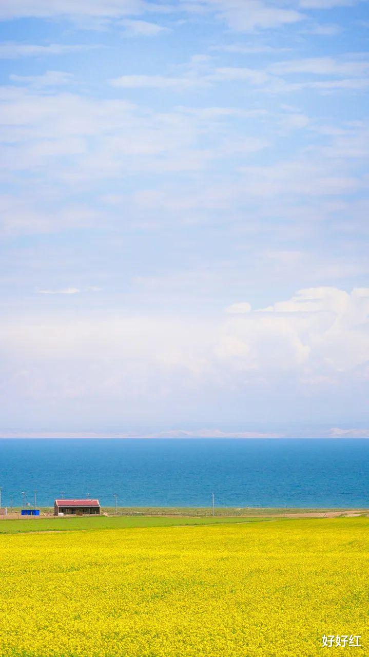 古镇|一半是鲜花、一半是美女，再过30天，这个五彩斑斓的省份，就美疯了！