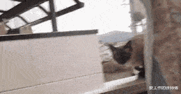 原神|“这啥美颜相机,把我的鼻孔当痘痘的给消除了”它可能太多余了吧!!