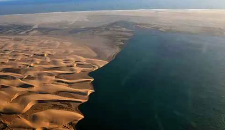 海口|把海水引入沙漠，能得到一片绿洲吗？外国实践效果超乎想象！