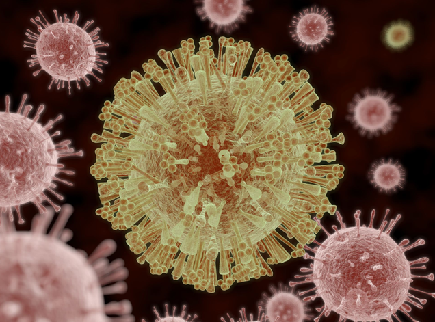 冲马桶一定要盖马桶盖!实验告诉你,冲马桶不盖马桶盖风险有多大