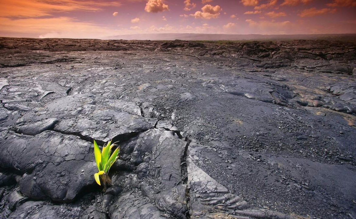 灭绝的史前生物再次出现,生命是一遍遍的轮回吗?每13万年循环一次