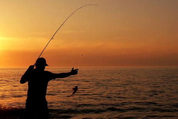 银行|钓鱼的乐趣是什么？我觉得是“乐不思蜀”