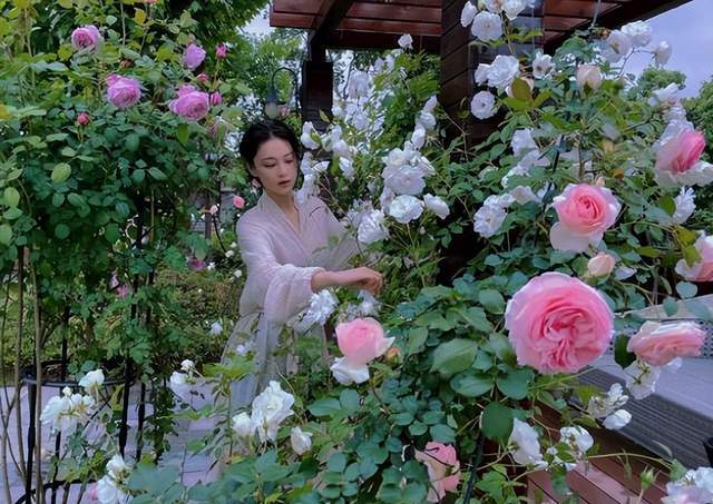 |婚前一直被黑料缠身,婚后却成功洗白,张馨予到底做了什么