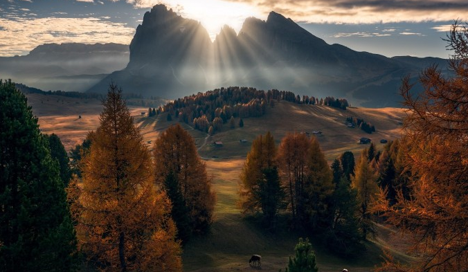 离职|职场如战场,勾心斗角如同家常便饭