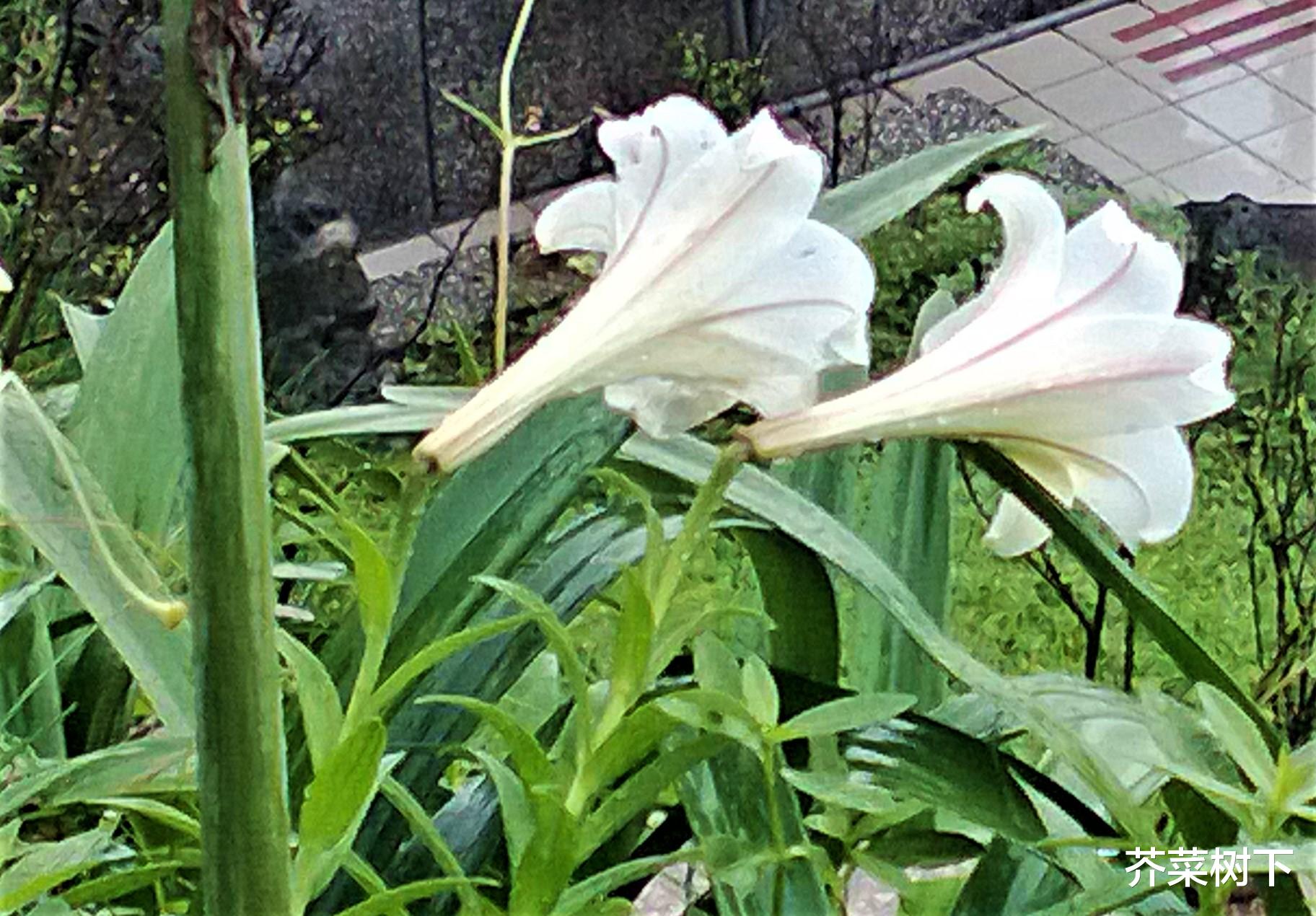 潜规则|既成结果，欣然接受