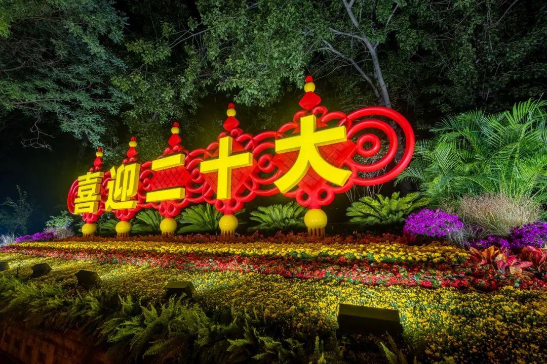 上海市|花了三个晚上，打卡长安街沿线14处立体花坛，夜景比白天更靓丽！