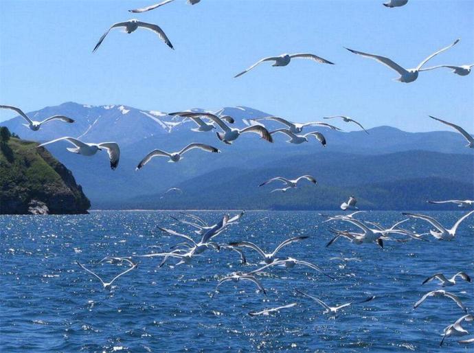 远离海洋2000多公里,又身为淡水湖的贝加尔湖,为什么会有海洋生物?