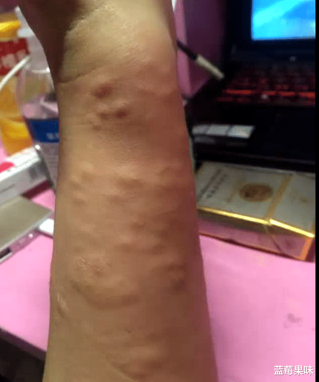 颜色鲜艳就是剧毒蛇?妖艳的赤链“仙子”只会挠痒——赤链蛇