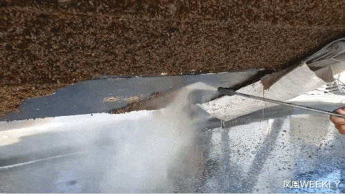 老中医 小毛驴“暴力”美甲：是谁爽翻了？